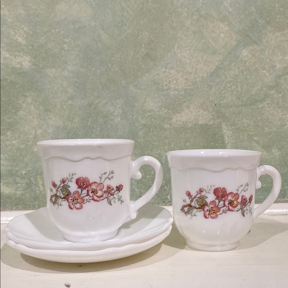 Arcopal Other - Florentine by Arcopal, 2 vintage tea/coffee cups and saucers